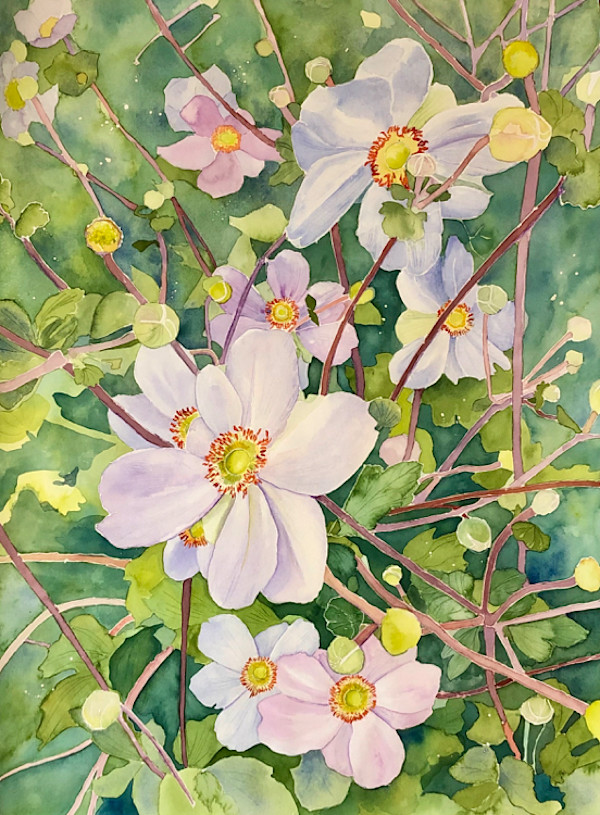 Anemones by Barbara Bell