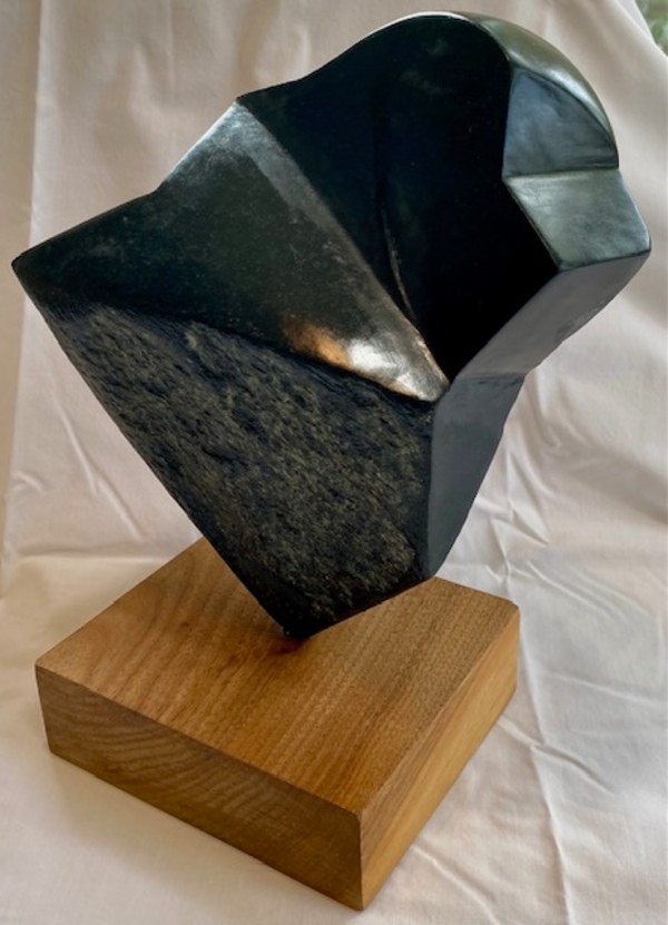 Cosmos by Barbara Meima