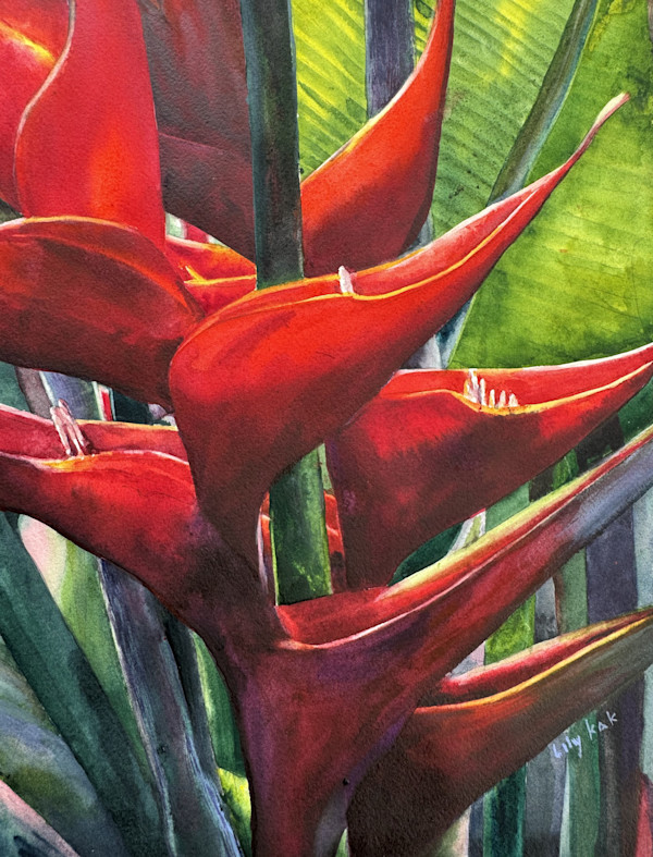 Blazing Red by Lily Kak