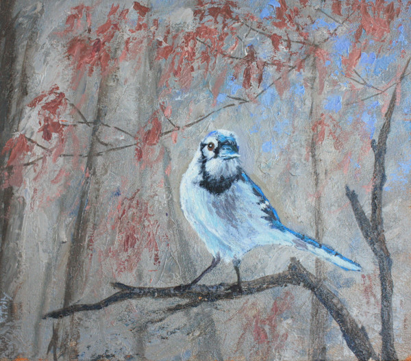Blue Jay by Ray Tully