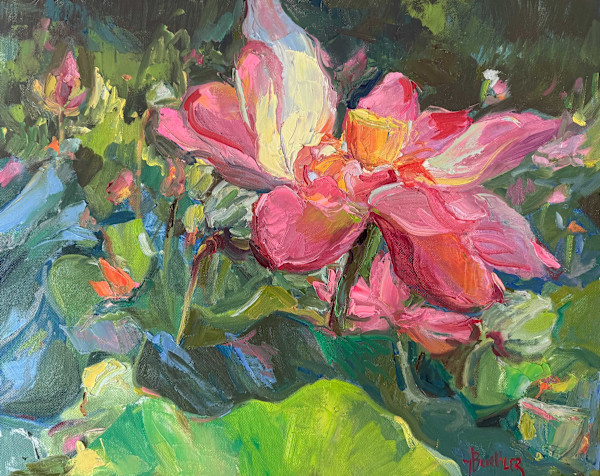 Lotus Blooms by Holly Buehler