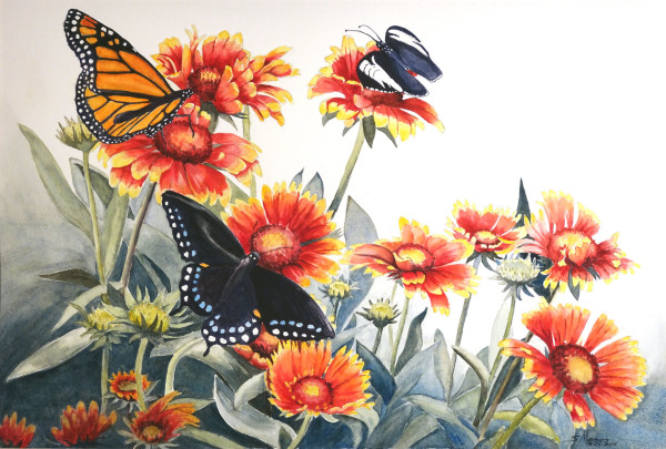 Butterflies and Blanket Flowers by Susan Moses