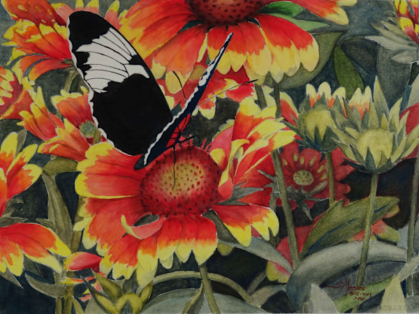 Butterfly & Blanket Flowers by Susan Moses, Image 1.