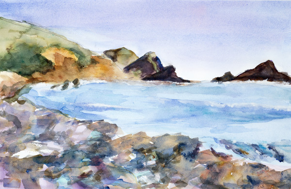Big Sur Coast by Carol Starr