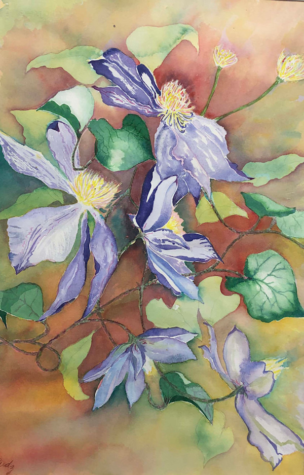 Clematis Clamber by Diane Rudzinski