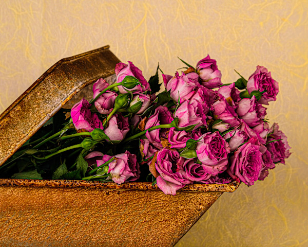 A Basketful of Roses by Stephanie Banks