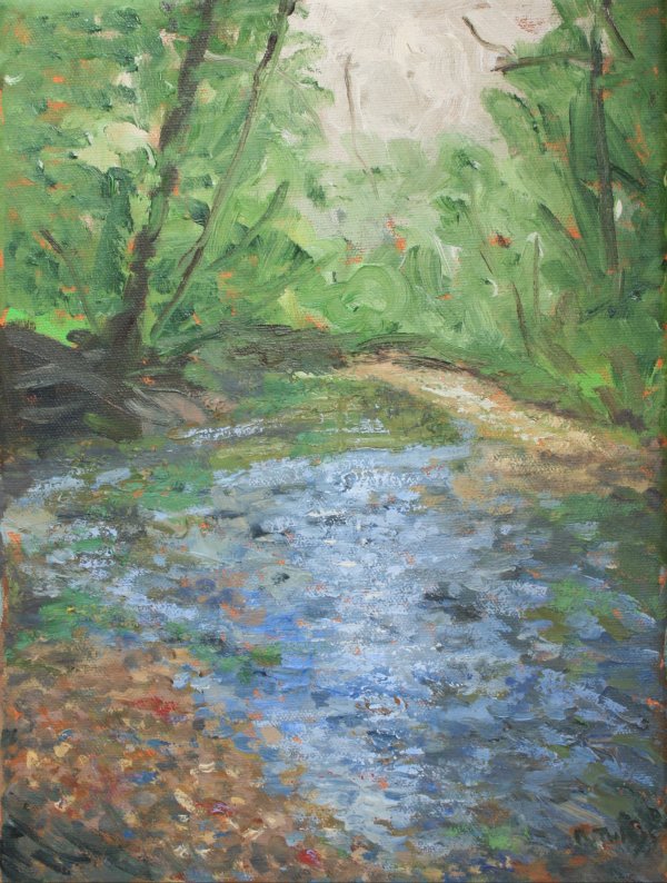 Deciduous Woods, Summer by Ray Tully