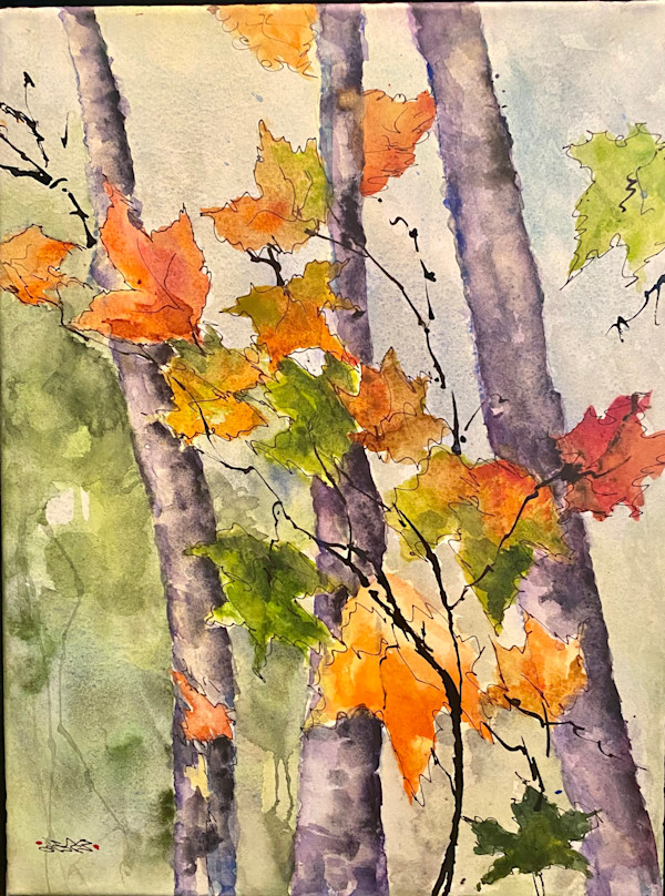 Fall Foliage by Jane Salomon
