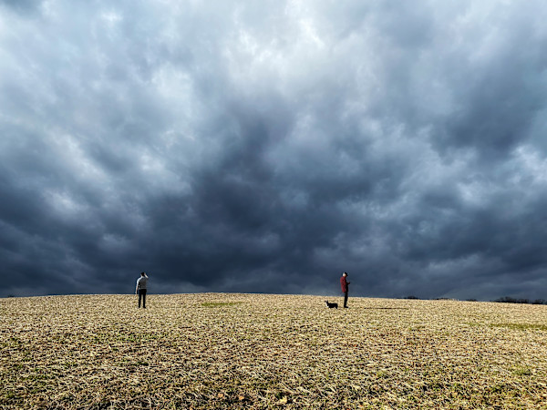 Field of Clouds by Lisa Sieg