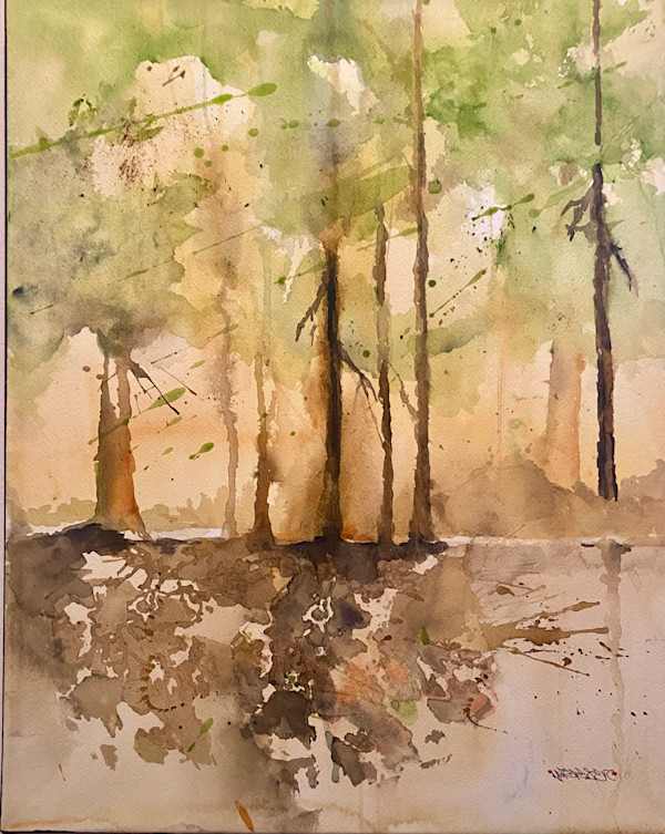 Forest Edge by Jane Salomon
