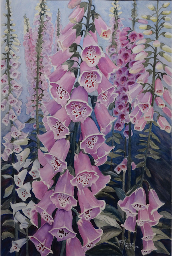 Foxglove by Susan Moses