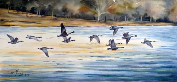 Geese Over Deep Creek by Susan Moses