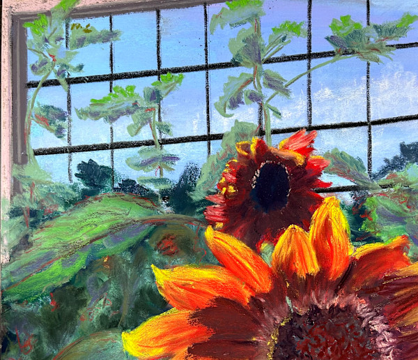 Greenhouse Sunshine by Patricia Swan Jacobs