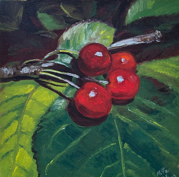 Cherries by Maria Elena Lazarte