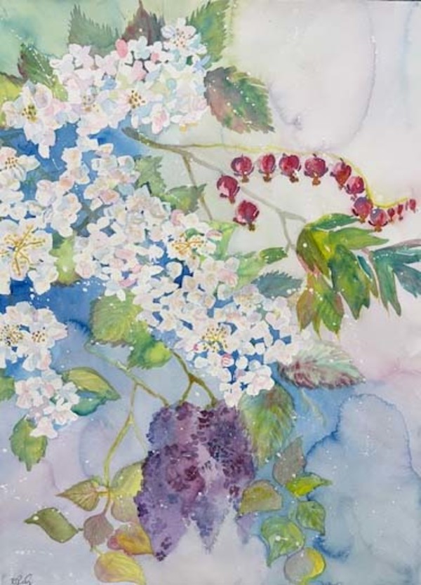 Hearts Lilac Viburnum by Diane Rudzinski
