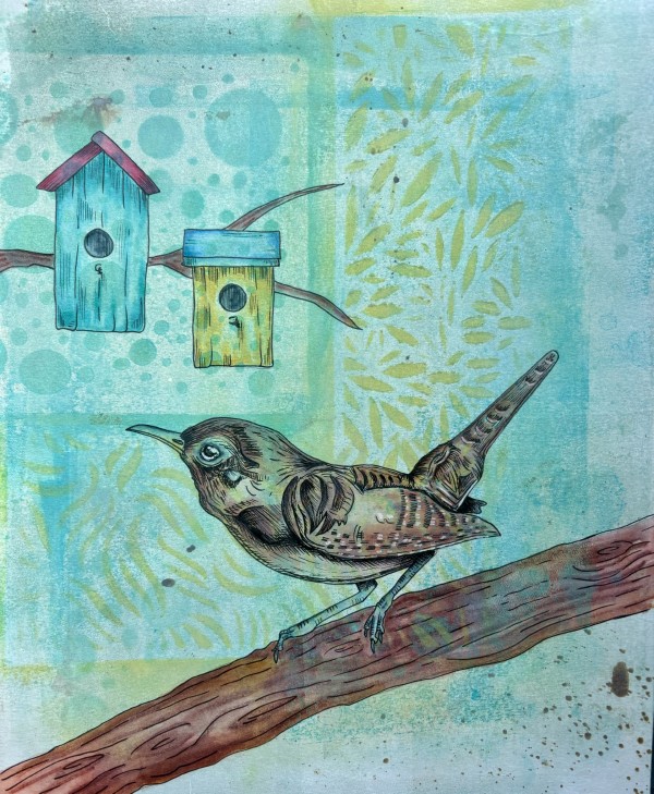 House Wren by Anne Michael