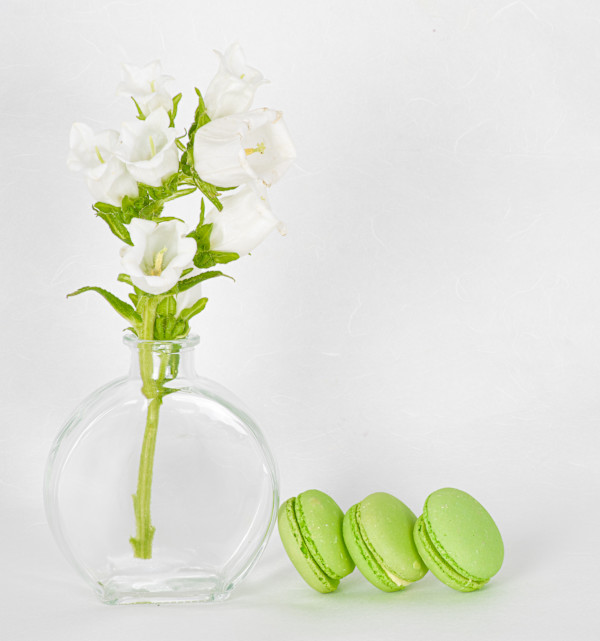 Flowers With Macarons by Stephanie Banks
