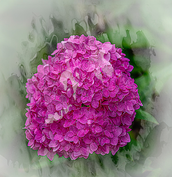 Pretty in Pink by Stephanie Banks