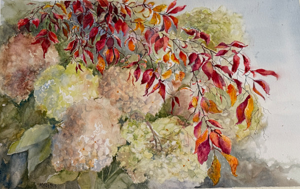 It's All About the Leaves by Marta Legeckis