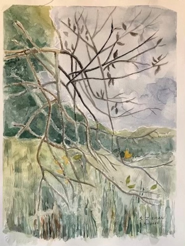 Tree in the Wind in Florida by Sandra Zisman