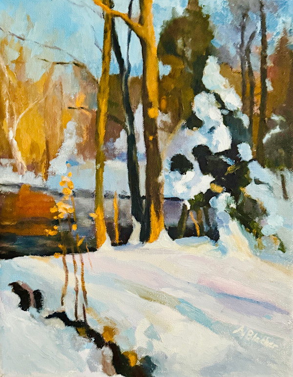 Sun and Shadow by Nancy Blacker