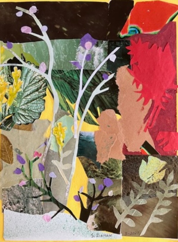 Garden Landscape by Sandra Zisman