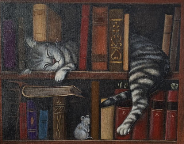 Sleeping Cat in the Bookshelf by Emily Funkhouser