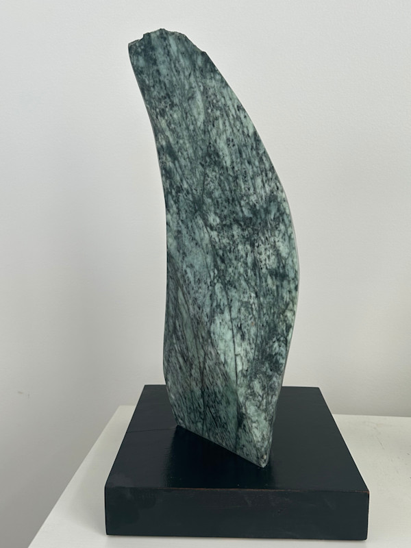 Whale’s Tail by A. Barry Belman