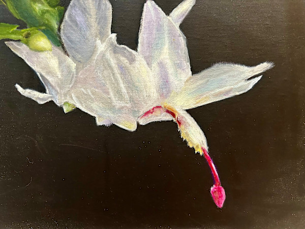 Graceful Flower by Debbie Cohen