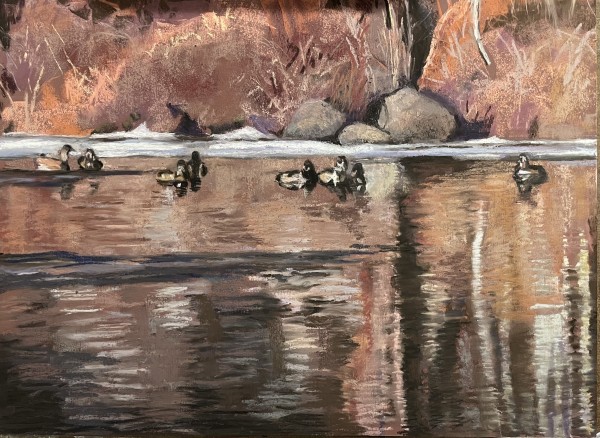 Oregon Ducks by Katherine R. Richards