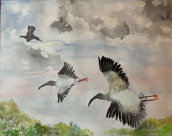 Wood Storks in Flight by Phyllis Lowinger