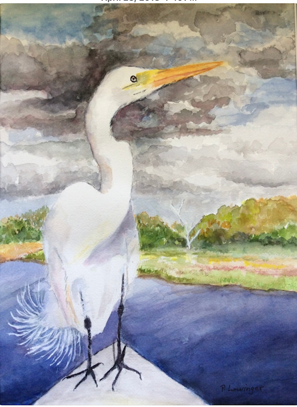 Great White Heron by Phyllis Lowinger