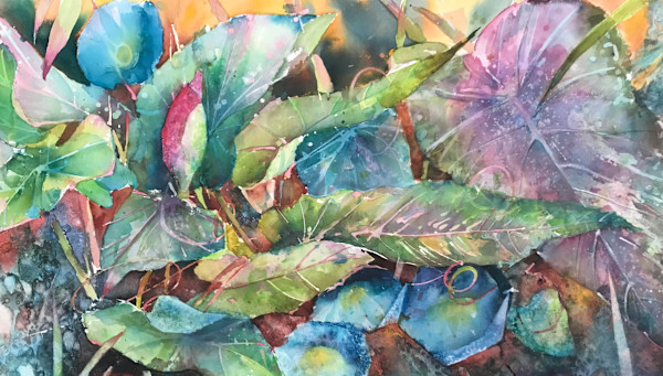Morning Glory and Caladium by David Daniels