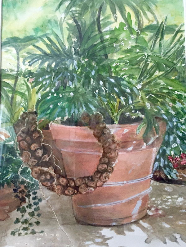 Regina Patio by Monika Griff