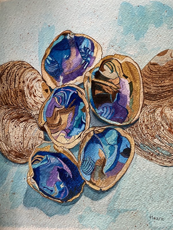 High Tone Clam Shells by Alexandra Treadaway Hoare