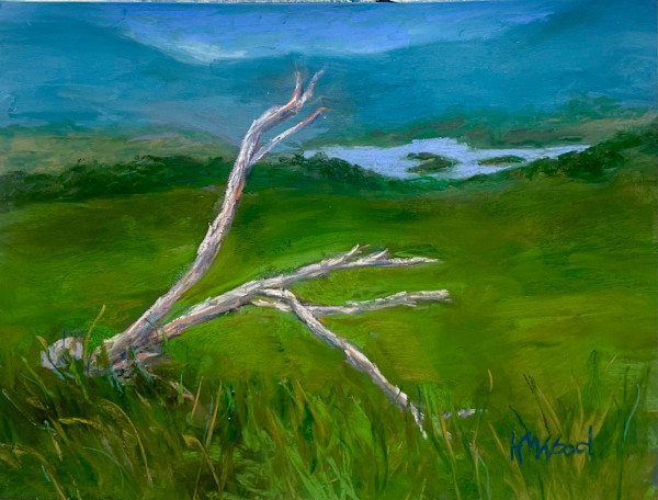 Tranquil View by Helen Wood