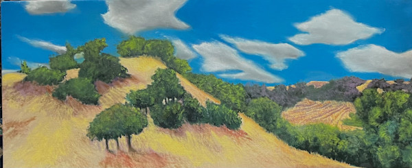 Napa Hills by John Weber