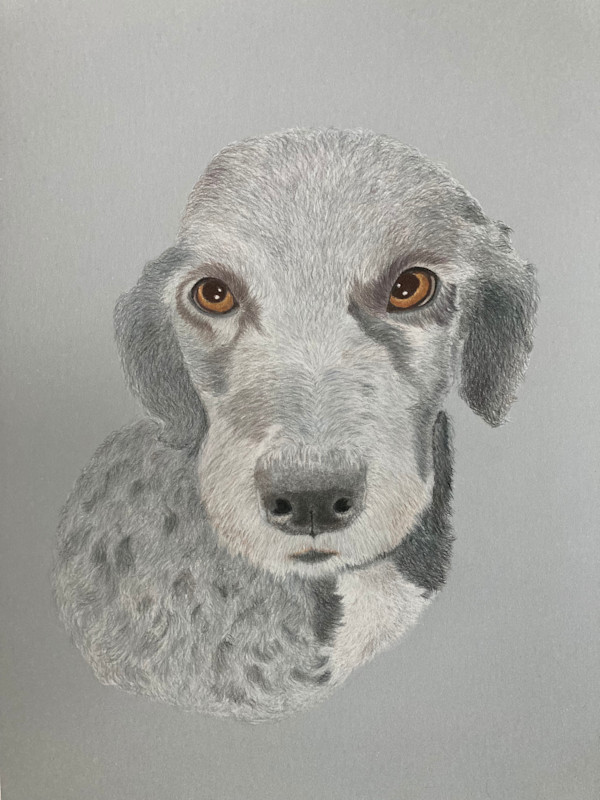 A Sweet Fellow by Adrienne Price