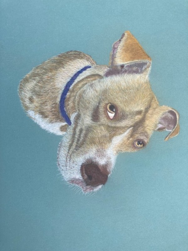 Portrait of ChaCha by Adrienne Price