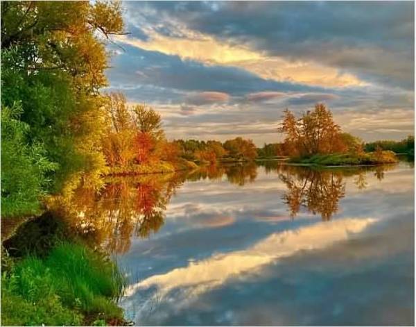 Reflections by Cathy Mc Dermott