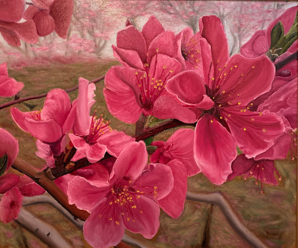 Deep Into Spring by Jean Finkleman