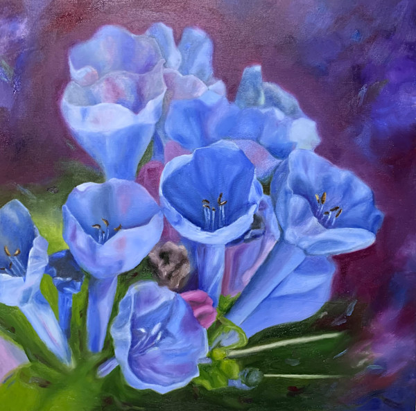 Cups of Shadow and Light by Jean Finkleman
