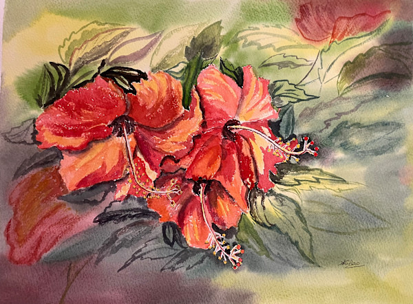 Hibiscus by Swaroop G. Rao