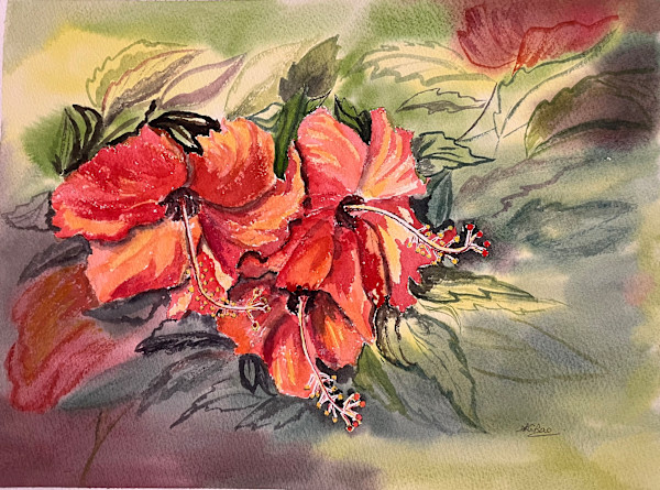 Hibiscus - Still Life Composition by Swaroop G. Rao, Image 1.