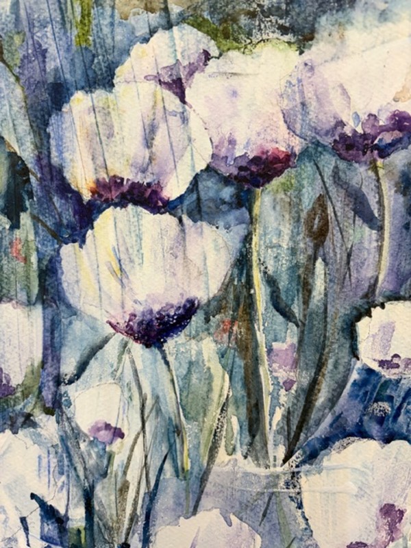 Poppies by Jeannie Limpert