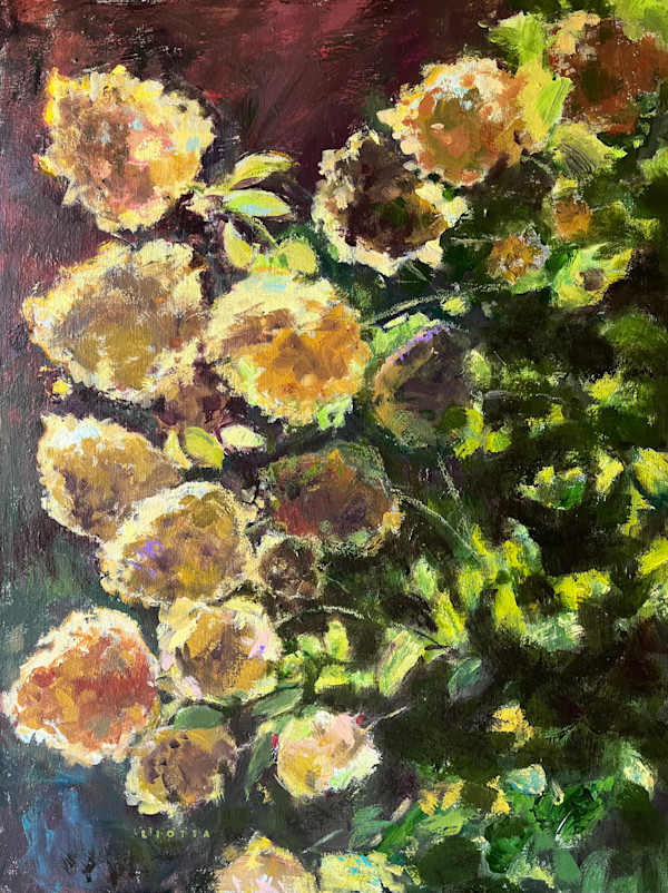 Rim Lighting by Joanne Liotta Aarons