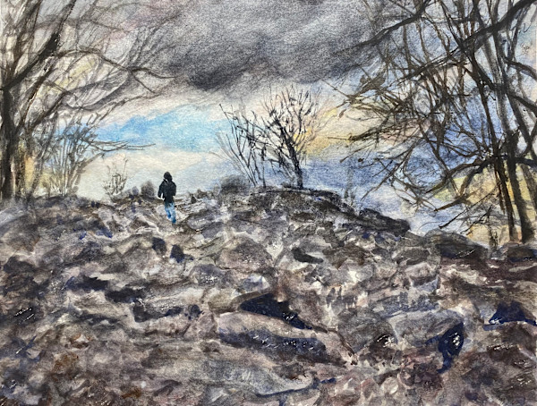 The Search for the Silver Lining by Tong Li
