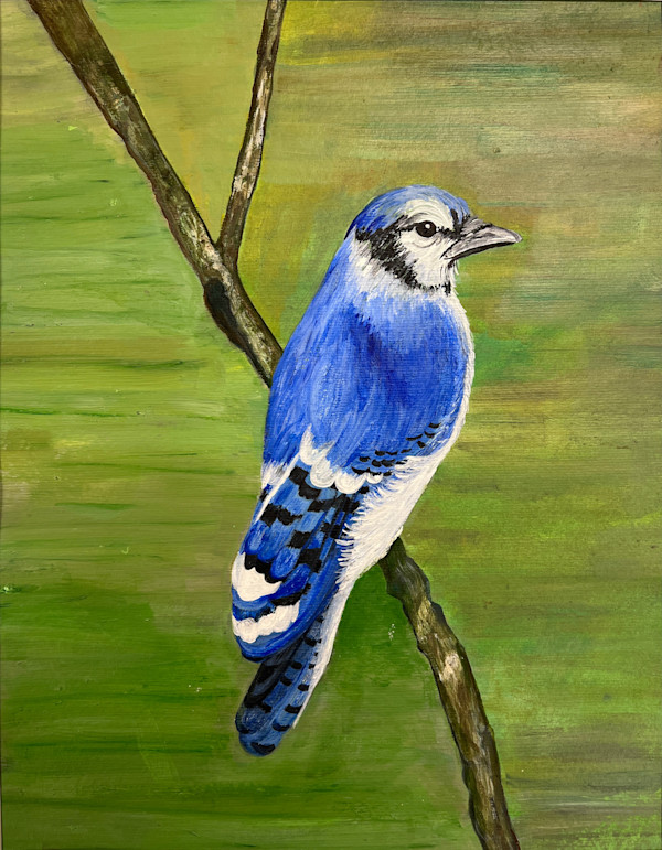 Blue Jay by Grace Hardiman, Image 1.