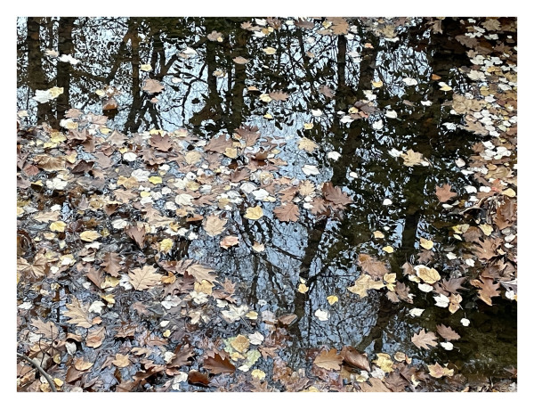Agua que no has de beber by Mauricio Athie