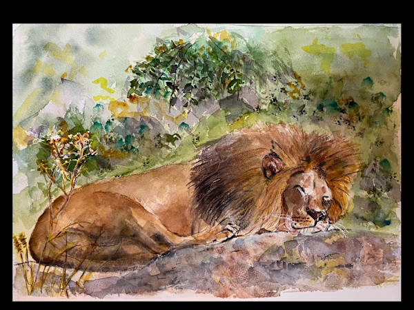 Just Lion Around by Karen Shapiro